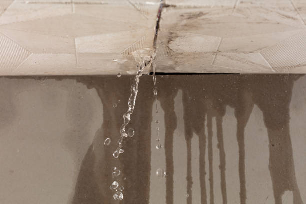 Professional Burst Pipe Cleanup technician working in Unionville, MI